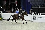 WIHS1-10-26-10-Cl3-GrConfHtr-7766-SmallAffair-JohnFrench-DDeRosaPhoto.jpg