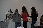 WIHS2-10-30-10-JuniorParty-7944-DDeRosaPhoto.jpg