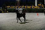WIHS2-10-27-10-MilitaryPolo-2099-DDeRosaPhoto.jpg