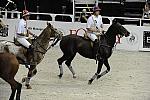 WIHS2-10-27-10-MilitaryPolo-2120-DDeRosaPhoto.jpg