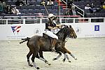 WIHS2-10-27-10-MilitaryPolo-2169-DDeRosaPhoto.jpg