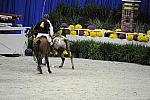 WIHS2-10-27-10-MilitaryPolo-2233-DDeRosaPhoto.jpg