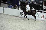 WIHS2-10-27-10-MilitaryPolo-2235-DDeRosaPhoto.jpg