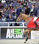 Animal_Planet-WIHS2-10-29-10-6377-DDeRosaPhoto-crop.jpg