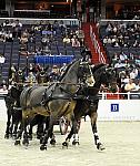 Brown_Advisory-WIHS2-10-28-10-DSC_7918-DDeRosaPhoto.jpg