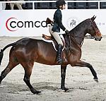 Comcast-WIHS2-10-30-10-8355-DDeRosaPhoto.jpg