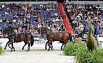 Qatar-WIHS2-10-30-10-8660-DDeRosaPhoto.jpg
