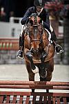 WIHS2-10-29-10-Cl181-WIHSEq-Htr-5690-VictoriaBirdsall-Baheera-DDeRosaPhoto.jpg