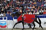 WIHS2-10-30-10-Cl182-WIHSEqFinals-8505-LillieKeenan-Uno-DDeRosaPhoto.jpg