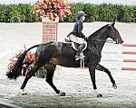 WIHS2-10-30-10-Cl182-WIHSEqJpr-8180-VictoriaColvin-VIPZ-DDeRosaPhoto.jpg