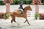 WIHS2-10-30-10-Cl182-WIHSEqJpr-8213-LucyDavis-Patrick-DDeRosaPhoto.jpg