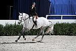 WIHS2-10-30-10-Cl182-WIHSEqJpr-8328-HasbrouckDonovan-Wagner-DDeRosaPhoto.jpg