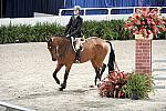 WIHS2-10-30-10-Cl182-WIHSEqJpr-8336-MichaelHughes-CocoPop-DDeRosaPhoto.jpg