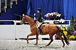 WIHS3-10-31-10-Cl191-RegHtrFinalsHrs-0358-Winterfield-SummerSeeley-DDeRosaPhoto.jpg