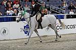 WIHS3-10-31-10-Cl193-LocHtrFinals-Pny-0259-SailorsTakeWarning-AlexandraWarner-DDeRosaPhoto.jpg