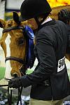 WIHS - 2011