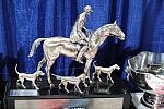 Awards-WIHS2-10-27-10-0138-DDeRosaPhoto.JPG