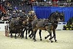 Driving-WIHS2-10-28-10-4671-DDeRosaPhoto.JPG