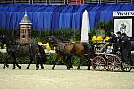 Driving-WIHS2-10-28-10-4679-DDeRosaPhoto.JPG