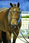 Presentations-WIHS1-10-26-10-Cl52-A-O-Htr35-U-8858-DoTell-BridgetHallman-DDeRosaPhoto.JPG