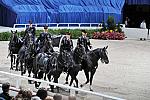 Caisson-WIHS2-10-30-10-8512-DDeRosaPhoto.JPG