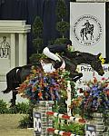 WIHS5-10-29-11-PresCup-1227-CincinattiLaSilla-JessicaSpringsteen-DDeRosaPhoto