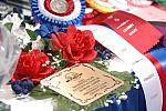 662-WIHS-10-28-06-©DeRosaPhoto