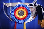WIHS-10-24-09-DER 8174-Awards-DDeRosaPhoto