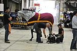 WIHS2-2010-WEG_0481-DDeRosaPhoto.jpg