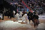 WIHS5-10-29-11-5380-DDeRosaPhoto.JPG