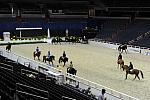 WIHS1-10-22-11-6113-DDeRosaPhoto.JPG