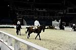 WIHS1-10-22-11-6129-DDeRosaPhoto.JPG