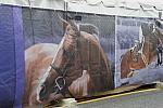 WIHS1-10-24-11-DSC 5908-DDeRosaPhoto