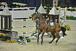 WIHS-10-27-11-Cl211-Gambler-5495-Dollar-AndrewKocher-DDeRosaPhoto.JPG