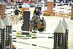 WIHS5-10-29-11-PresCup-1163-NiceDePrissey-BrianneGoutal-DDeRosaPhoto