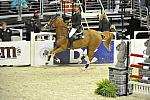 WIHS5-10-29-11-PresCup-1413-Taloubet-PauloSantana-DDeRosaPhoto