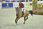 Aslan-LjubovKochetova-WIHS4-10-28-11-Puissance-8504-DDeRosaPhoto.JPG