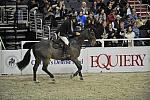 Unique-NickSkelton-WIHS4-10-28-11-Puissance-4413-DDeRosaPhoto.JPG