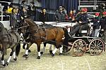 WIHS4-10-28-11-ChesterWeber-0994-DDeRosaPhoto.JPG