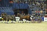 WIHS4-10-28-11-ChesterWeber-4200-DDeRosaPhoto.JPG