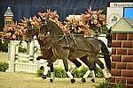 WIHS4-10-28-11-ChesterWeber-4221-DDeRosaPhoto.JPG