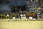 WIHS4-10-28-11-ChesterWeber-4226-DDeRosaPhoto.JPG