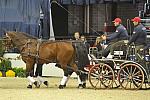 WIHS4-10-28-11-ChesterWeber-4251-DDeRosaPhoto.JPG