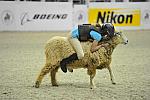 MUTTON BUSTING