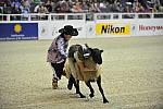 WIHS3-10-27-11-MuttonBusting-2589-DDeRosaPhoto.JPG
