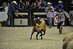 WIHS3-10-27-11-MuttonBusting-2829-DDeRosaPhoto.JPG