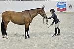 Chevron-WIHS1-10-25-11-Cl10RgCfHtrMd-0161-DDeRosaPhoto.JPG