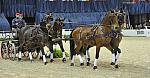 WIHS4-10-28-11-ChesterWeber-8433-DDeRosaPhoto.JPG