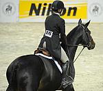 WIHS-10-25-11-Cl186ChHtrCH-DSC_7646-NobleBlue-KristenBowman-DDeRosaPhoto.JPG