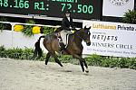 WIHS-10-25-11-Cl186B-DSC_8115-Tycoon-KaitlynFriedman-DDeRosaPhoto.JPG
